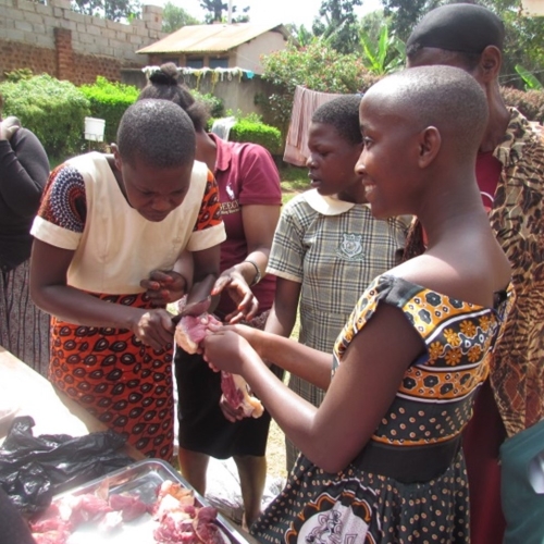 Seechild noodzakelijke reorganisatie