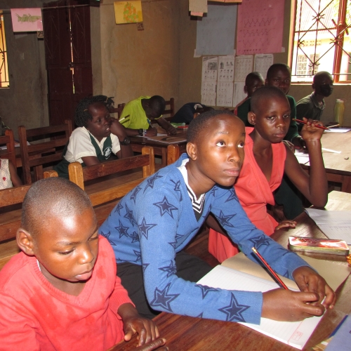 Seechild noodzakelijke reorganisatie