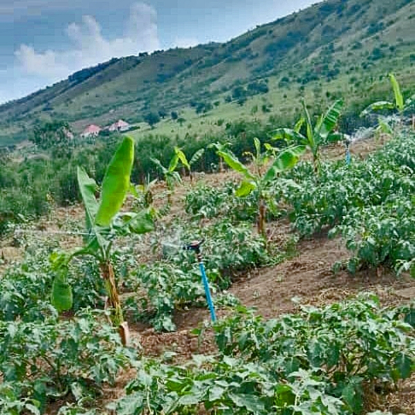 Kachica schooltuin febr 2026 a